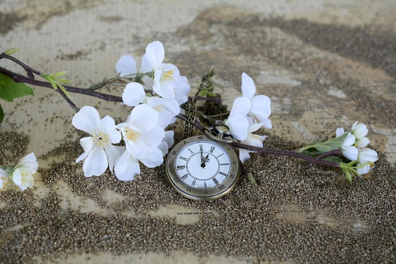 Quantum Time Dilation Field Generator
